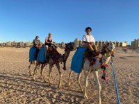 ein Bild aus dem Album