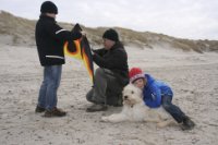 ein Bild aus dem Album