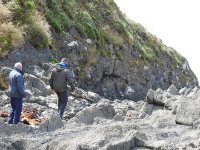 ein Bild aus dem Album