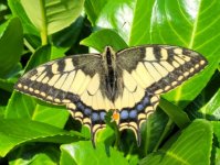 ein Bild aus dem Album